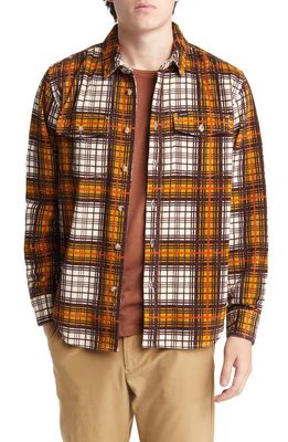 DARK SEAS Haines Plaid Cotton Corduroy Button-Up Shirt in Brown/Gold
